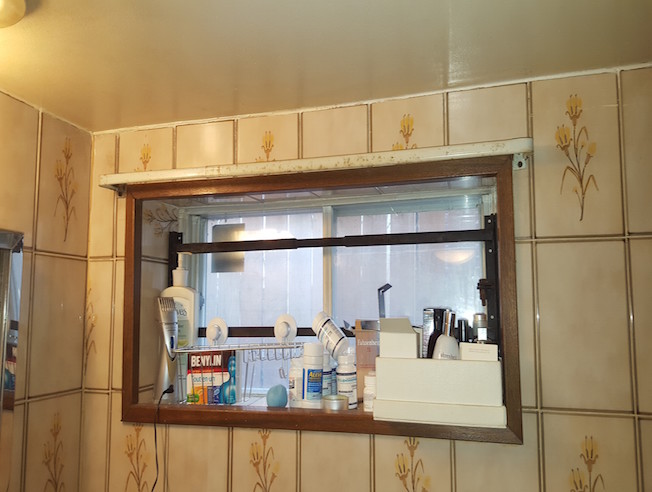 bathroom before reno photo 2