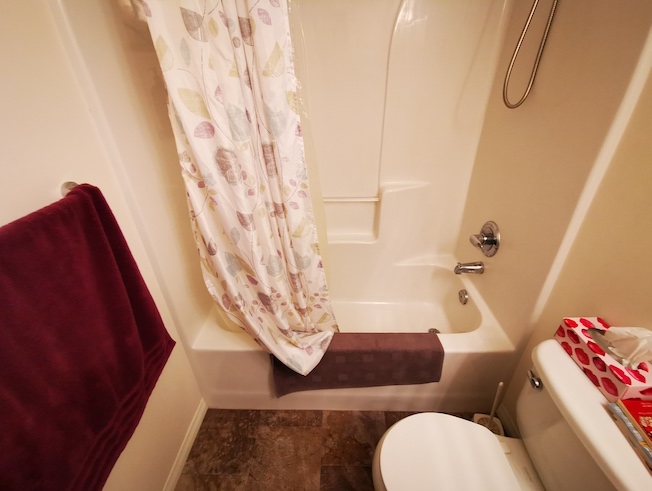 bathroom before reno photo 1